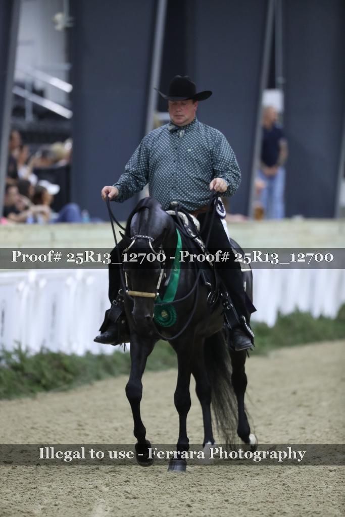 Proof 25R13_12700