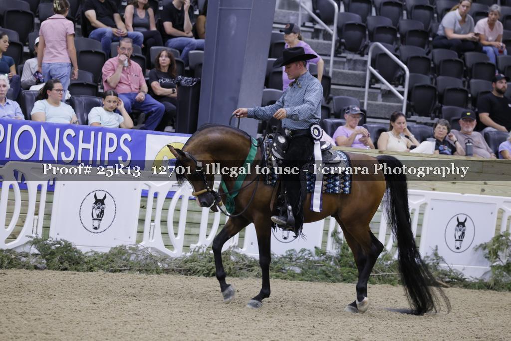 Proof 25R13_12701