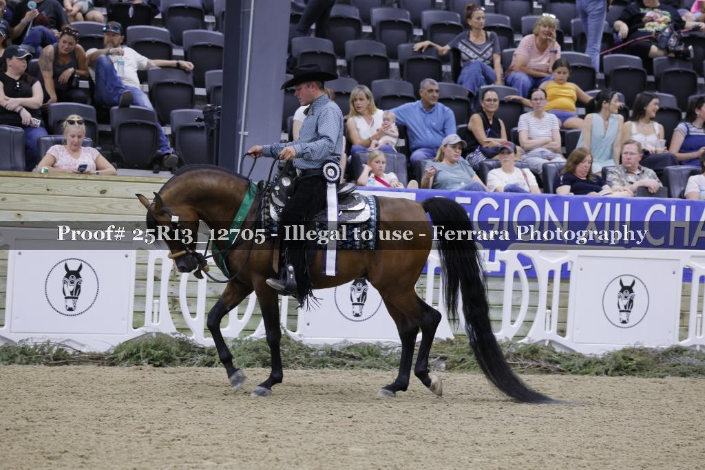 Proof 25R13_12705