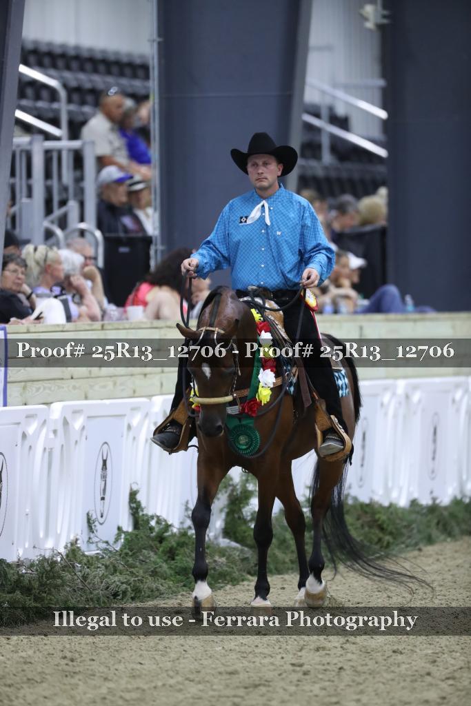 Proof 25R13_12706