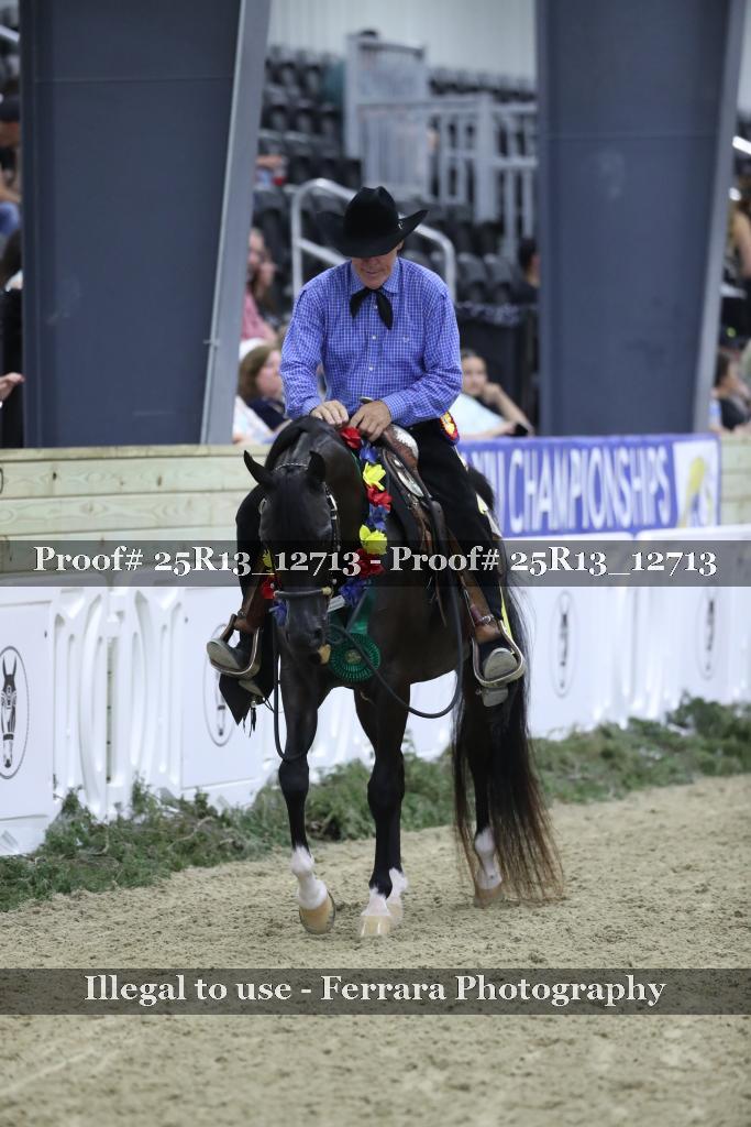 Proof 25R13_12713