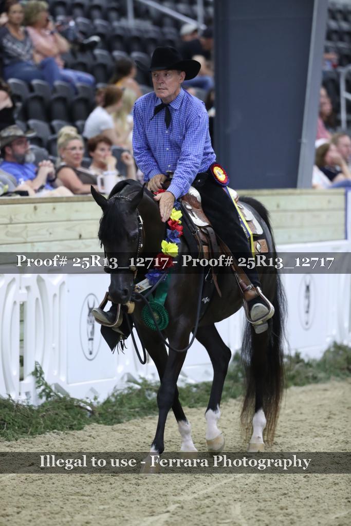 Proof 25R13_12717