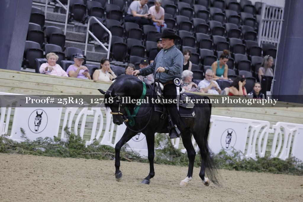 Proof 25R13_12718