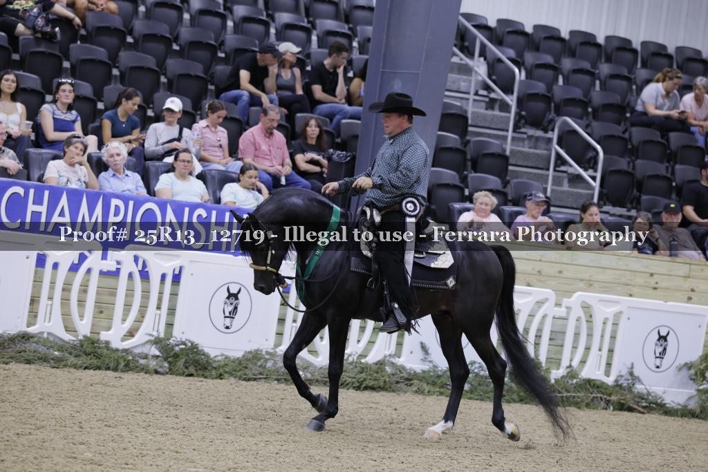 Proof 25R13_12719