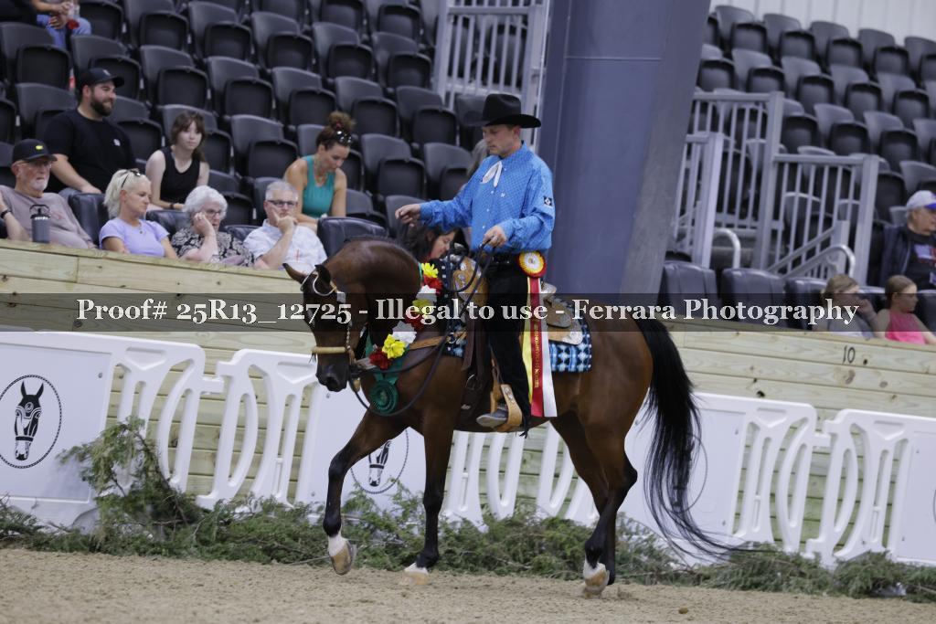 Proof 25R13_12725