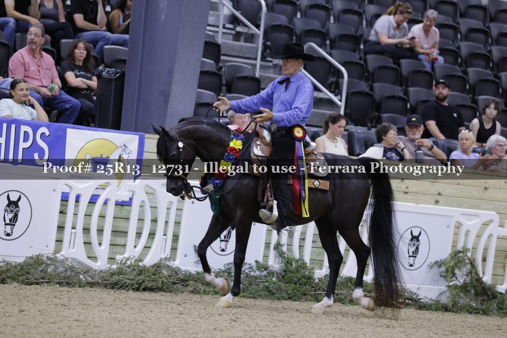 Proof 25R13_12731