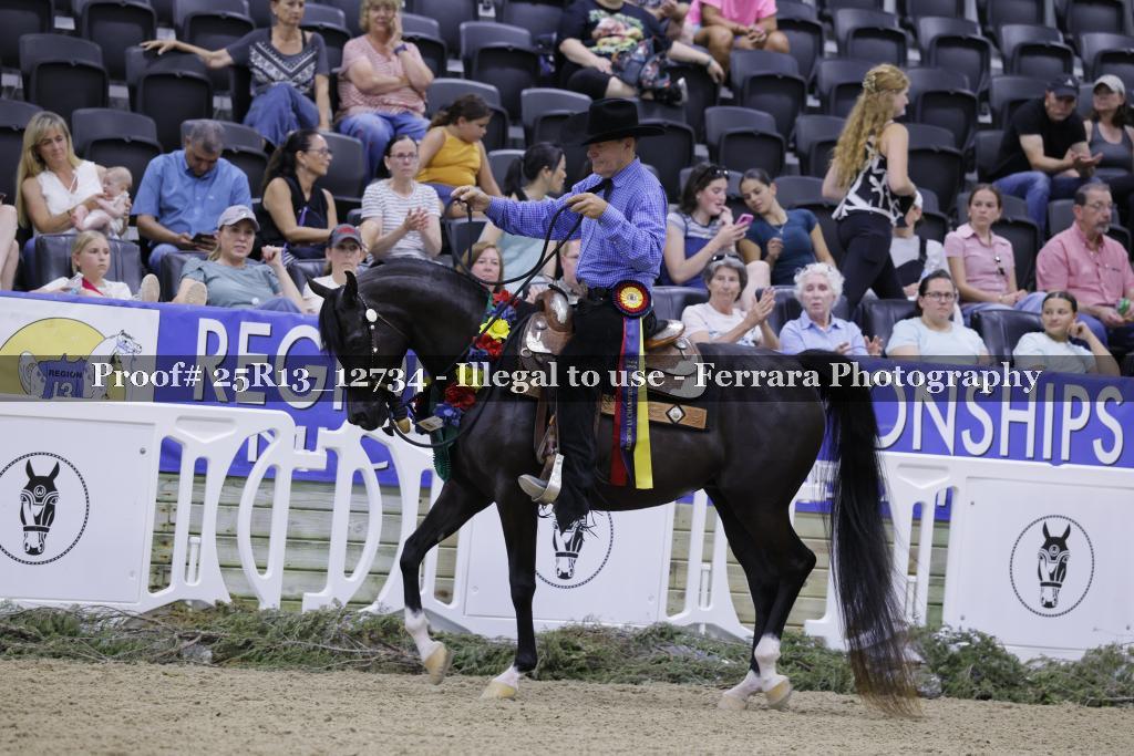 Proof 25R13_12734