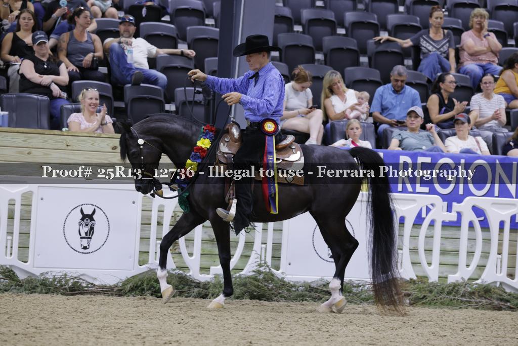 Proof 25R13_12736