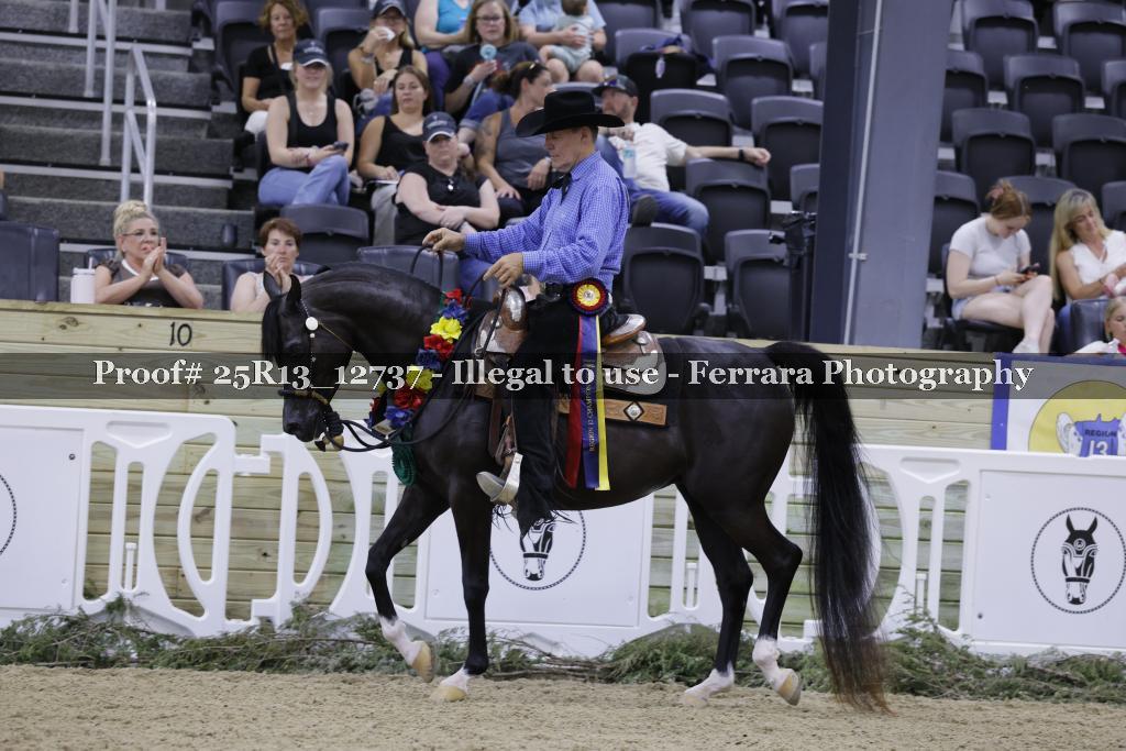 Proof 25R13_12737