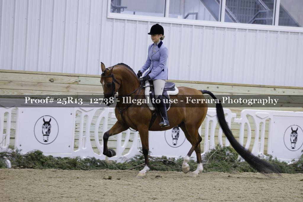 Proof 25R13_12738
