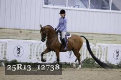 25R13_12738 proof