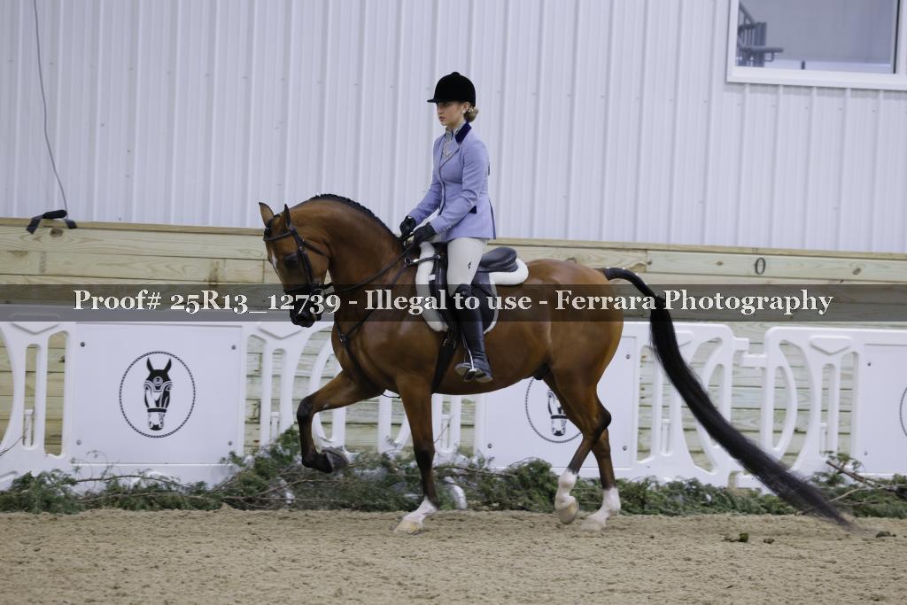 Proof 25R13_12739
