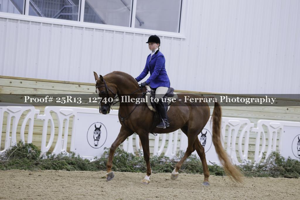 Proof 25R13_12740
