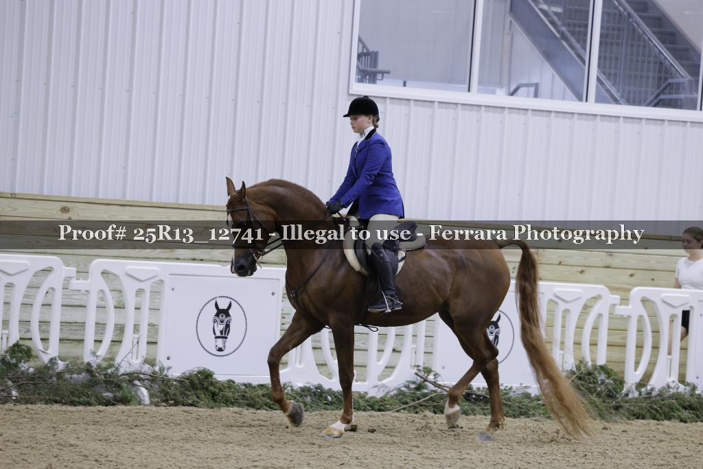 Proof 25R13_12741