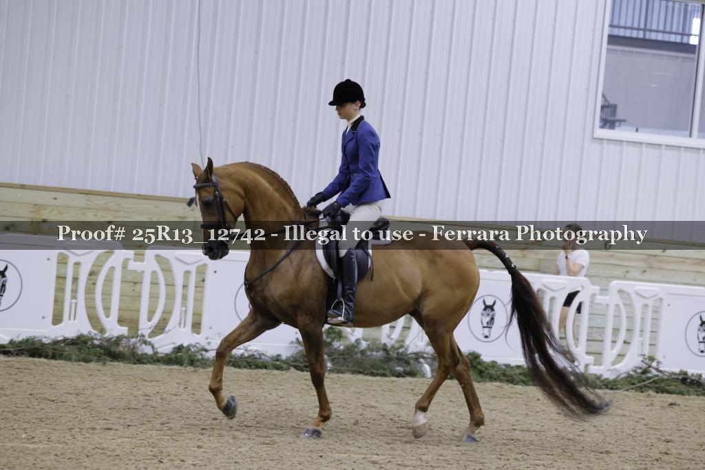 Proof 25R13_12742
