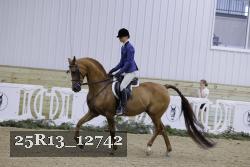 25R13_12742 proof