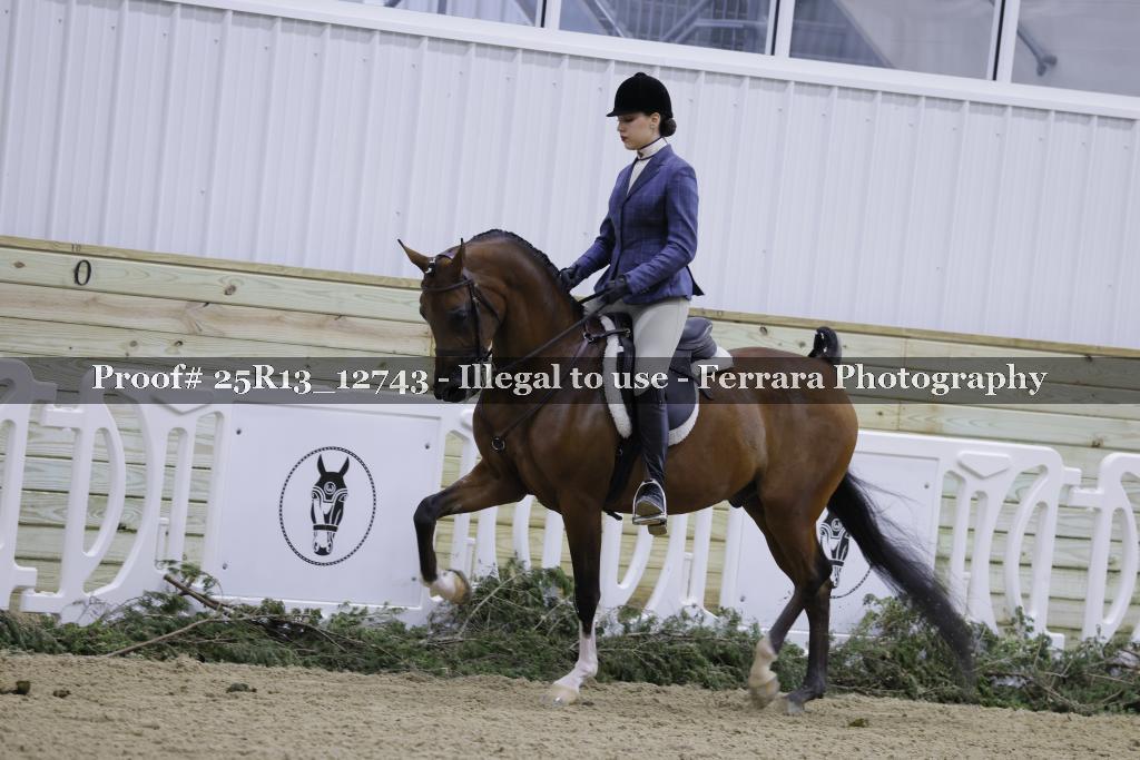 Proof 25R13_12743