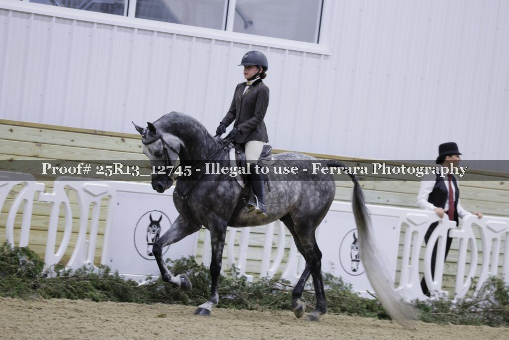 Proof 25R13_12745