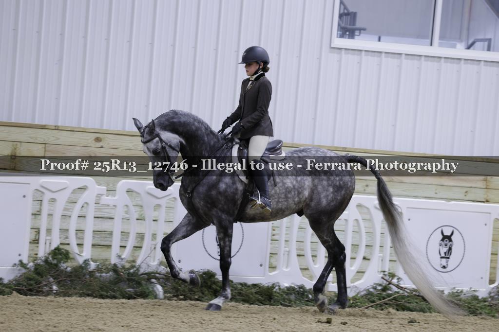 Proof 25R13_12746