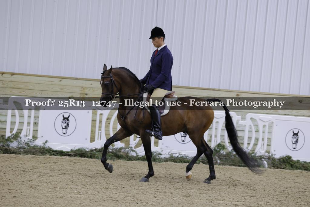 Proof 25R13_12747