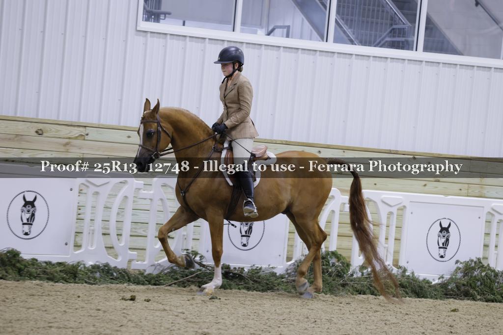 Proof 25R13_12748