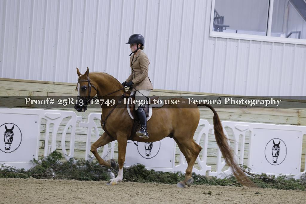 Proof 25R13_12749