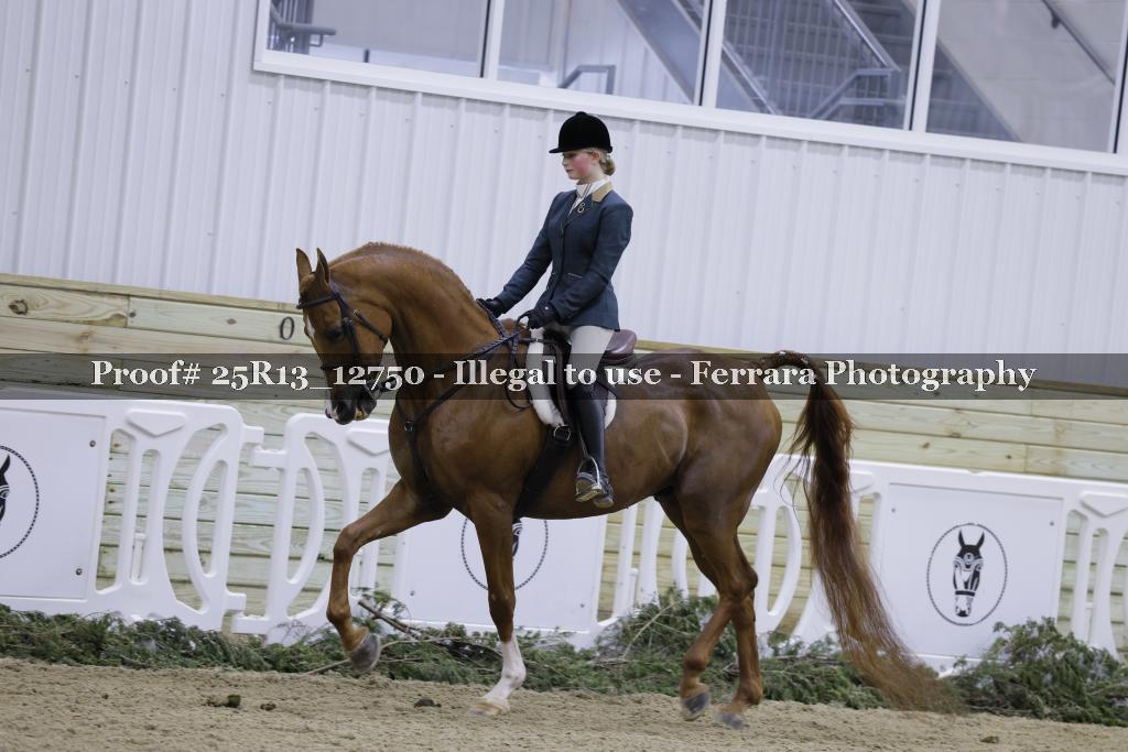 Proof 25R13_12750