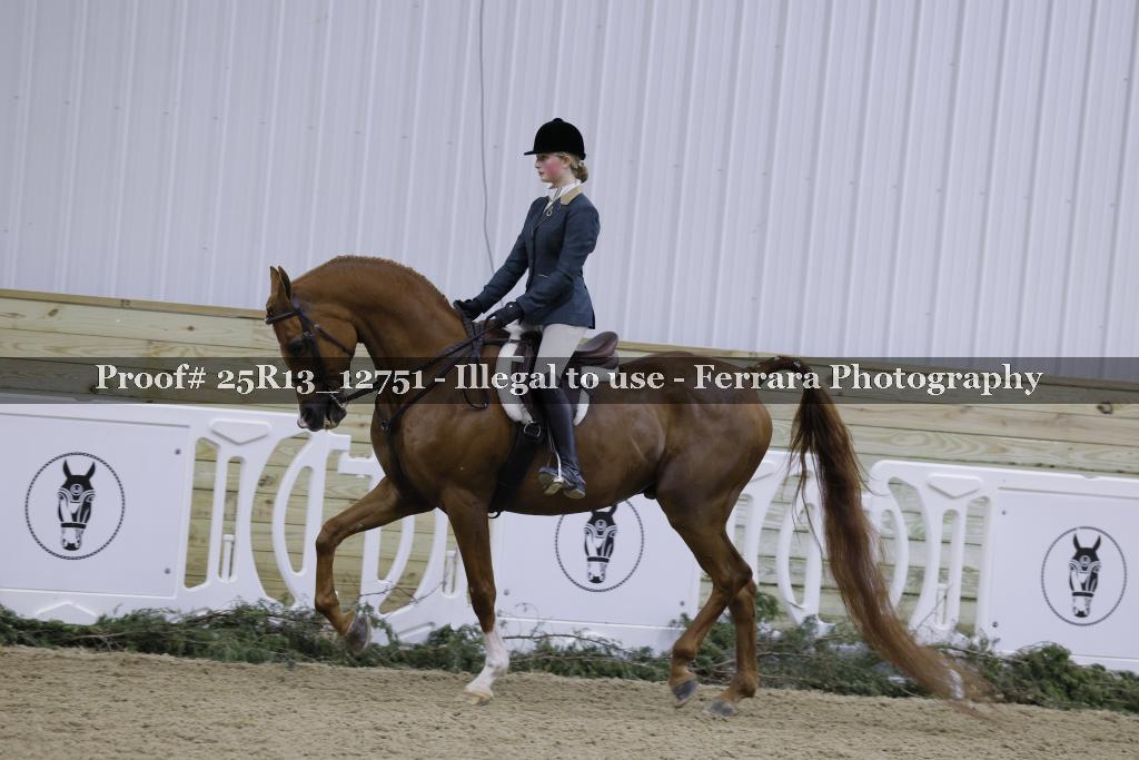 Proof 25R13_12751