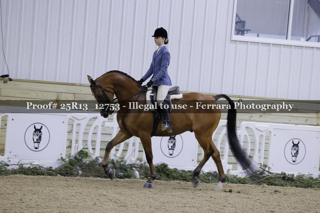Proof 25R13_12753