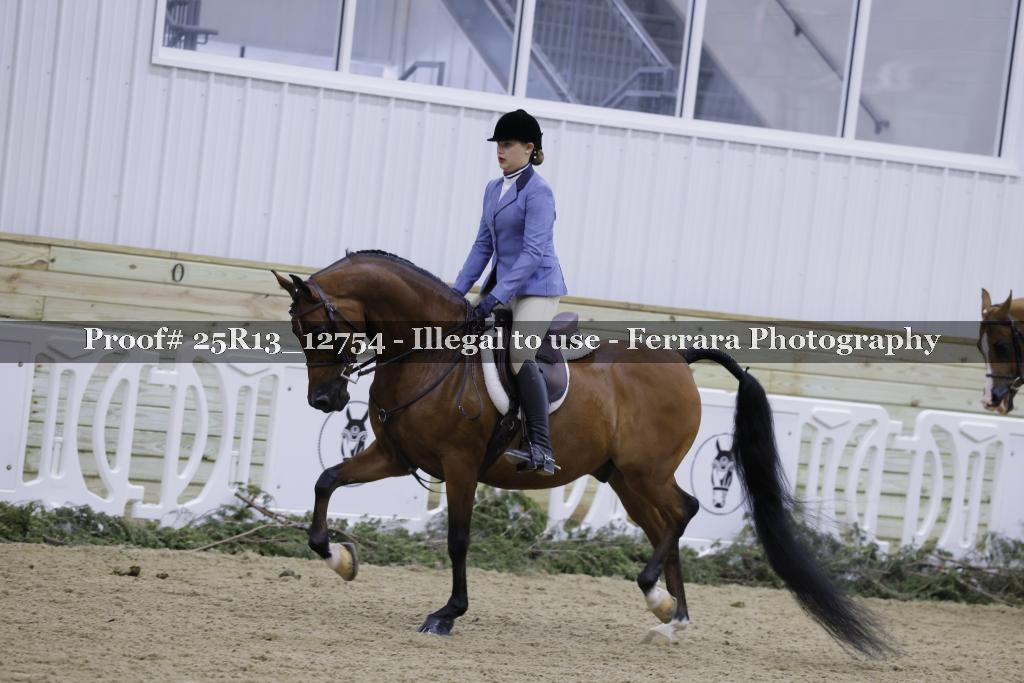 Proof 25R13_12754