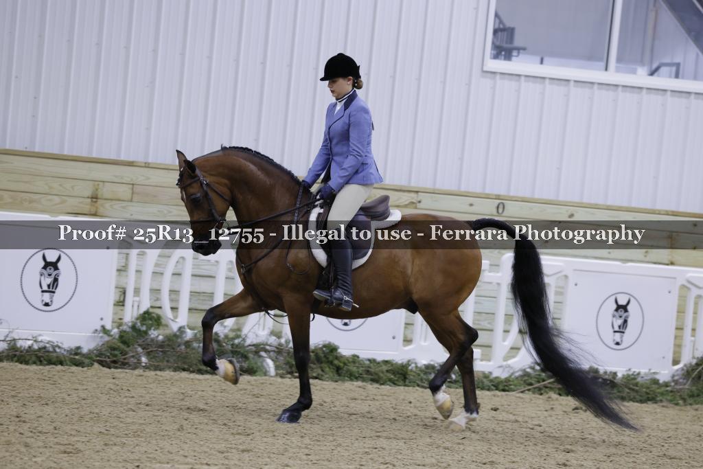 Proof 25R13_12755