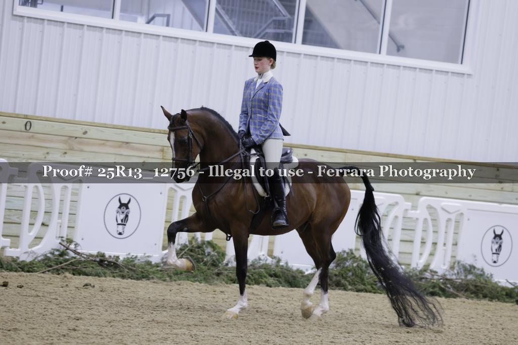 Proof 25R13_12756