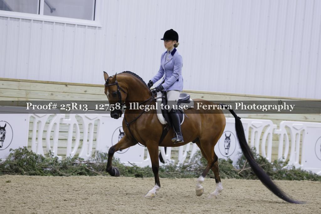 Proof 25R13_12758