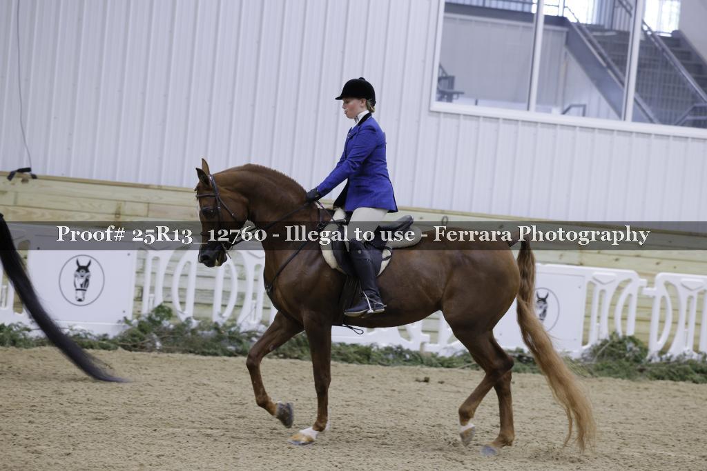 Proof 25R13_12760