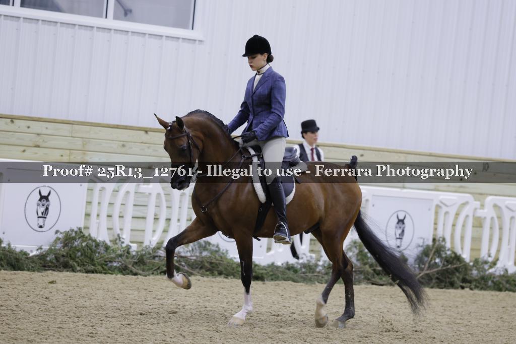 Proof 25R13_12761