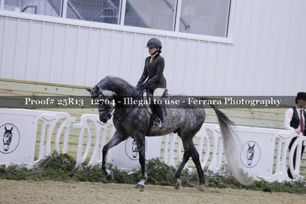 Proof 25R13_12764