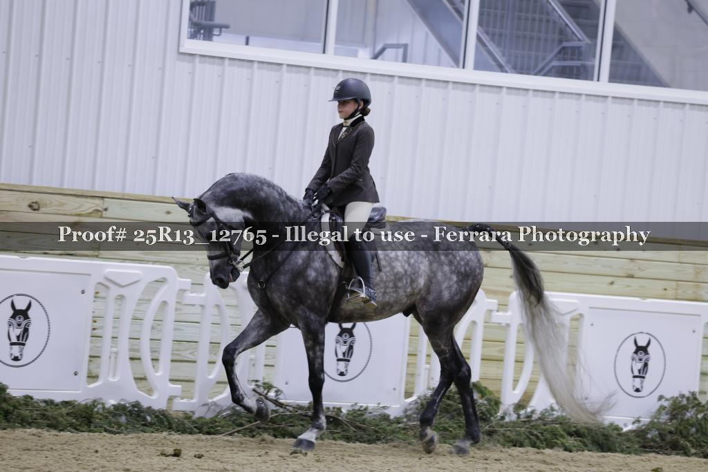 Proof 25R13_12765