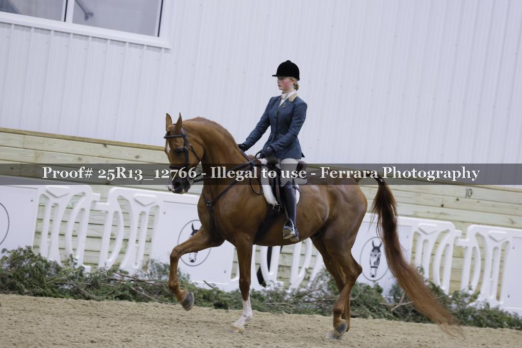 Proof 25R13_12766