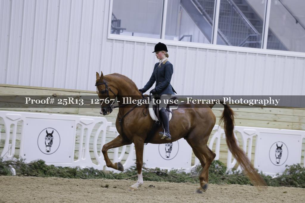 Proof 25R13_12767