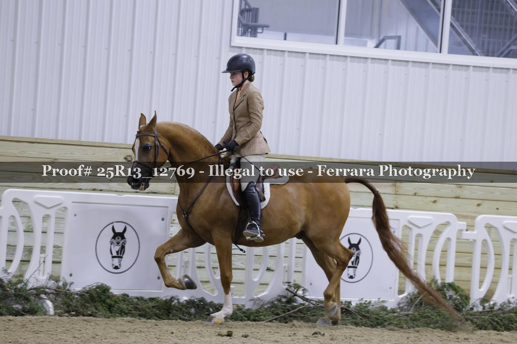 Proof 25R13_12769