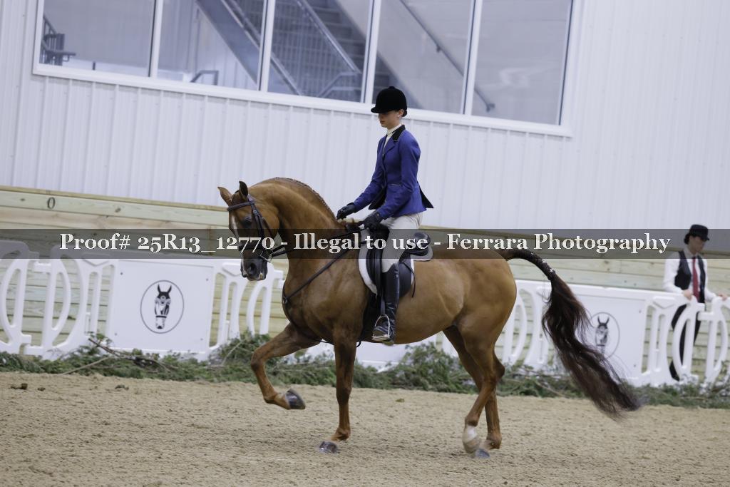 Proof 25R13_12770