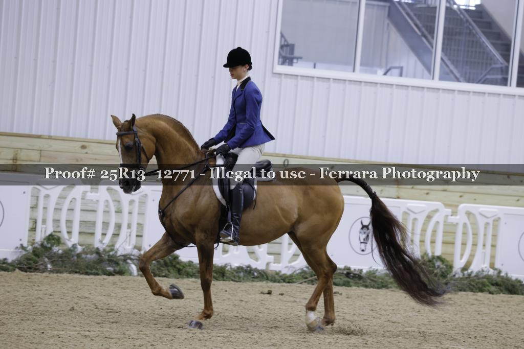 Proof 25R13_12771