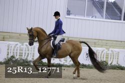 25R13_12771 proof
