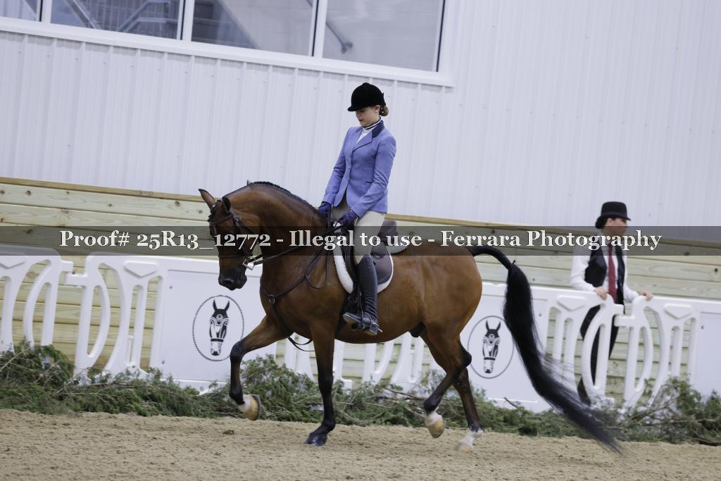 Proof 25R13_12772