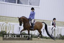 25R13_12772 proof