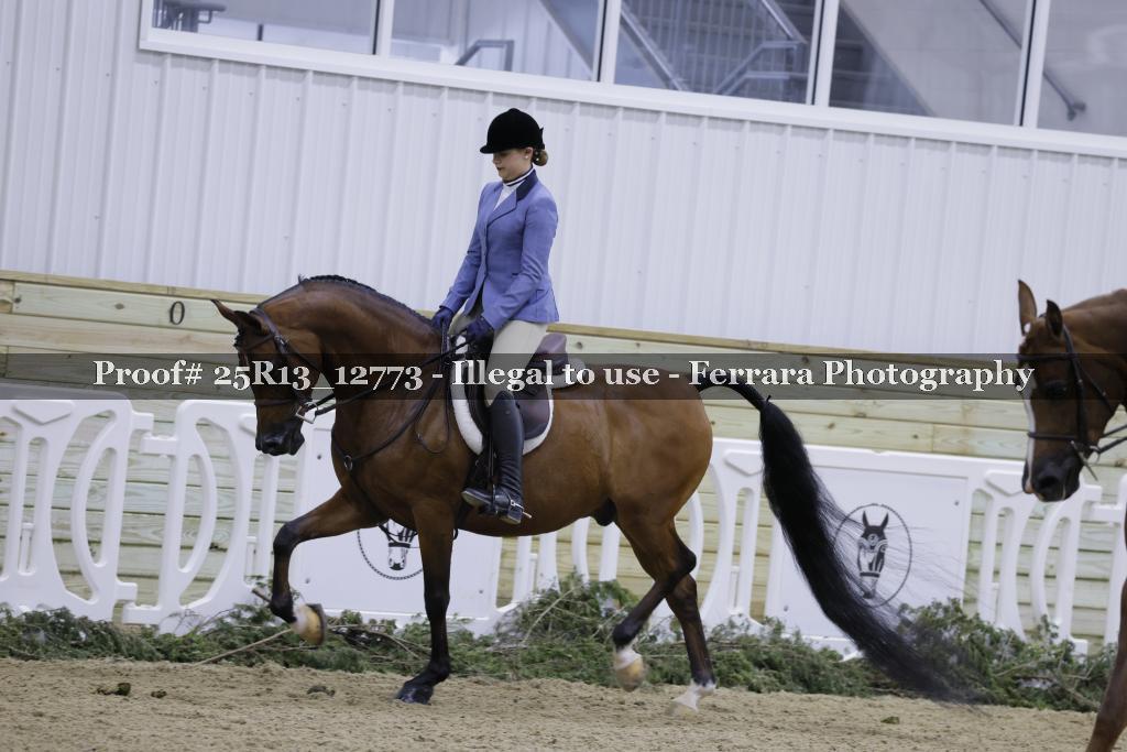 Proof 25R13_12773