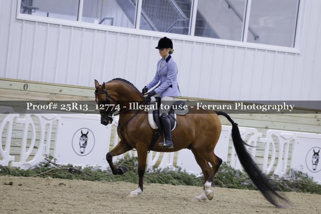 Proof 25R13_12774