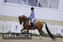 25R13_12774 proof