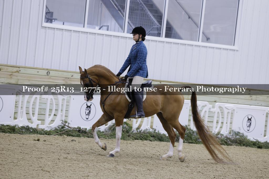 Proof 25R13_12775
