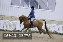 25R13_12775 proof